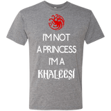 T-Shirts Premium Heather / Small Princess Khaleesi Men's Triblend T-Shirt