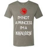 T-Shirts Venetian Grey / Small Princess Khaleesi Men's Triblend T-Shirt