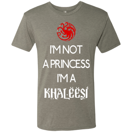 T-Shirts Venetian Grey / Small Princess Khaleesi Men's Triblend T-Shirt