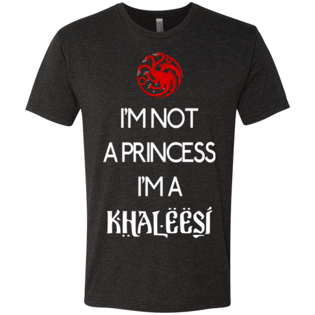T-Shirts Vintage Black / Small Princess Khaleesi Men's Triblend T-Shirt