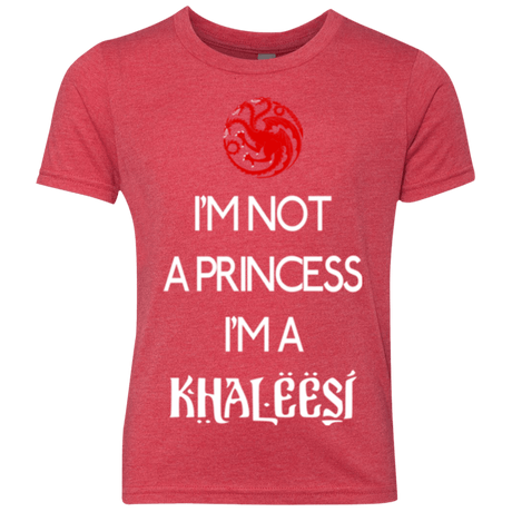 T-Shirts Vintage Red / YXS Princess Khaleesi Youth Triblend T-Shirt