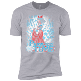 T-Shirts Heather Grey / YXS Princess Time Snow White Boys Premium T-Shirt