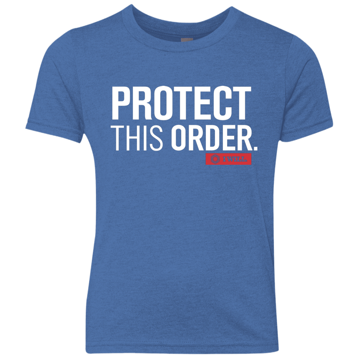 T-Shirts Vintage Royal / YXS Protect This Order Youth Triblend T-Shirt