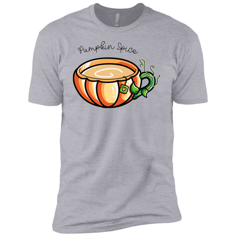 T-Shirts Heather Grey / YXS Pumpkin Spice Chai Tea Boys Premium T-Shirt