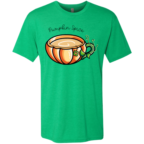 T-Shirts Envy / S Pumpkin Spice Chai Tea Men's Triblend T-Shirt