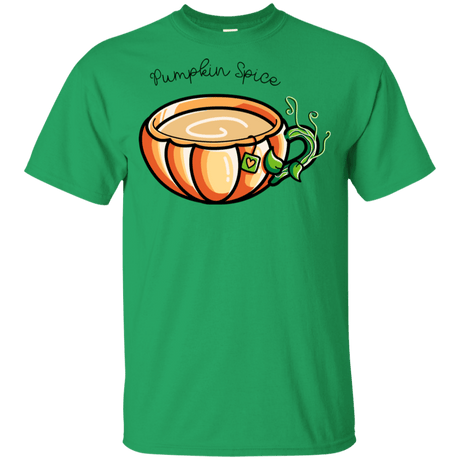 T-Shirts Irish Green / YXS Pumpkin Spice Chai Tea Youth T-Shirt