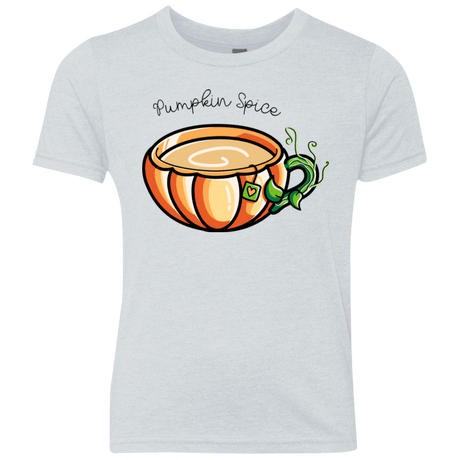 T-Shirts Heather White / YXS Pumpkin Spice Chai Tea Youth Triblend T-Shirt