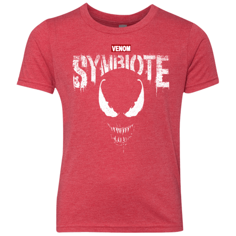 T-Shirts Vintage Red / YXS Punish The Spider Youth Triblend T-Shirt