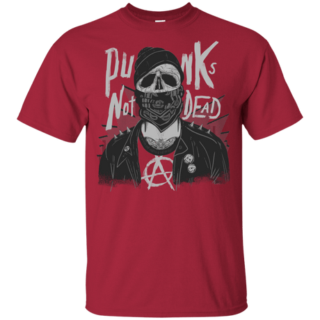 T-Shirts Cardinal / YXS PUNK SKULL Youth T-Shirt