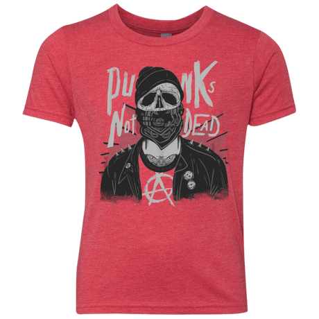 T-Shirts Vintage Red / YXS PUNK SKULL Youth Triblend T-Shirt