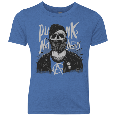 T-Shirts Vintage Royal / YXS PUNK SKULL Youth Triblend T-Shirt