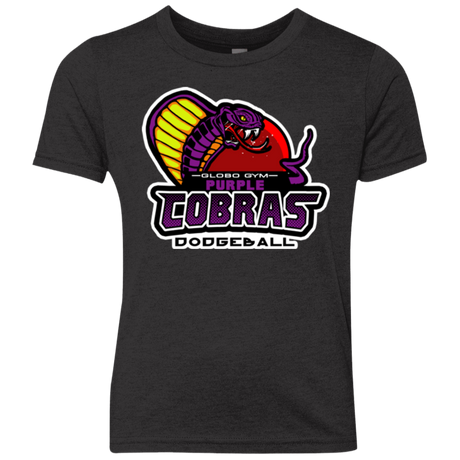 T-Shirts Vintage Black / YXS Purple Cobras Youth Triblend T-Shirt