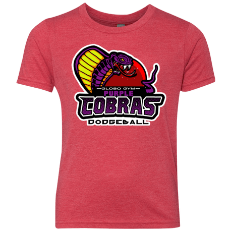 T-Shirts Vintage Red / YXS Purple Cobras Youth Triblend T-Shirt
