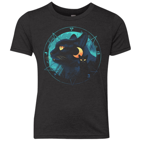 T-Shirts Vintage Black / YXS Puss the Evil Cat Youth Triblend T-Shirt