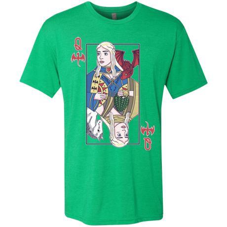T-Shirts Envy / Small Queen of Dragons Men's Triblend T-Shirt