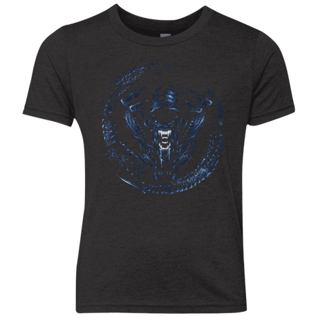 T-Shirts Vintage Black / YXS Queen Youth Triblend T-Shirt