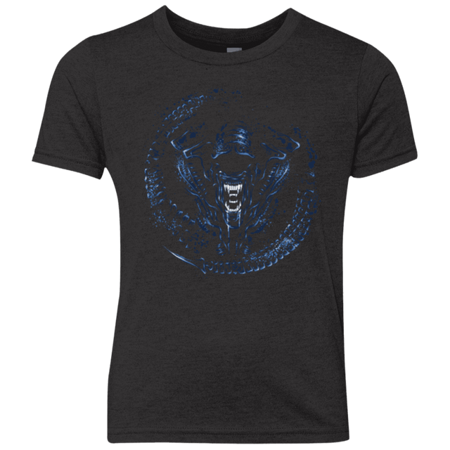 T-Shirts Vintage Black / YXS Queen Youth Triblend T-Shirt