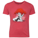 Quiet Winter Youth Triblend T-Shirt