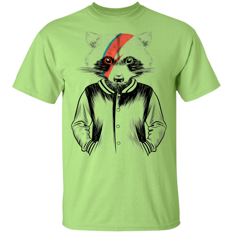 T-Shirts Mint Green / YXS Raccoon Bowie Youth T-Shirt