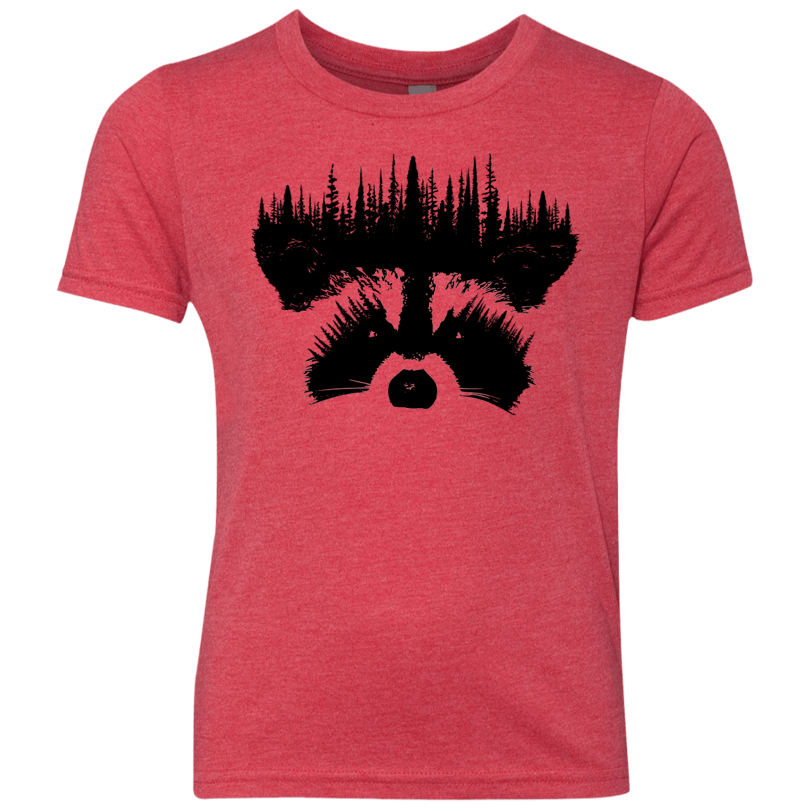 Raccoon Eyes Youth Triblend T-Shirt