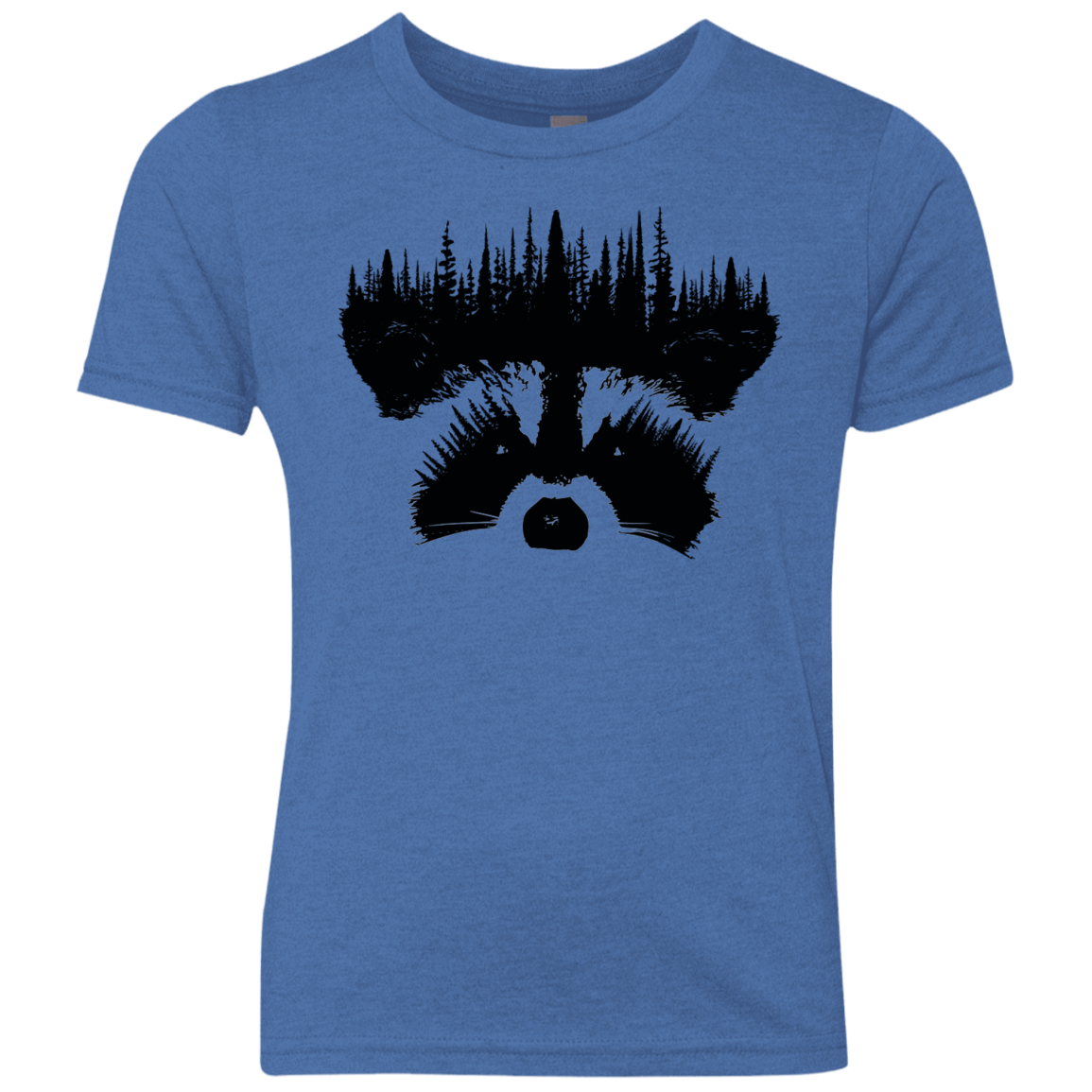 Raccoon Eyes Youth Triblend T-Shirt