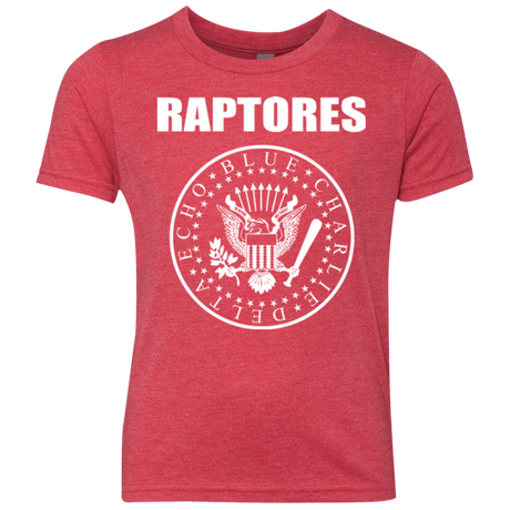 T-Shirts Vintage Red / YXS Raptores Youth Triblend T-Shirt