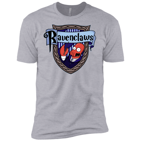 T-Shirts Heather Grey / YXS Ravenclaws Boys Premium T-Shirt