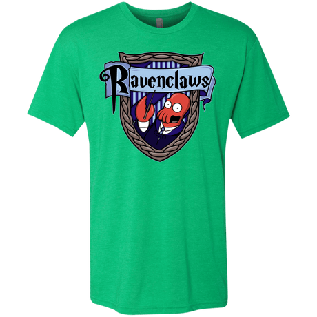 T-Shirts Envy / S Ravenclaws Men's Triblend T-Shirt