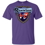 T-Shirts Purple / YXS Ravenclaws Youth T-Shirt