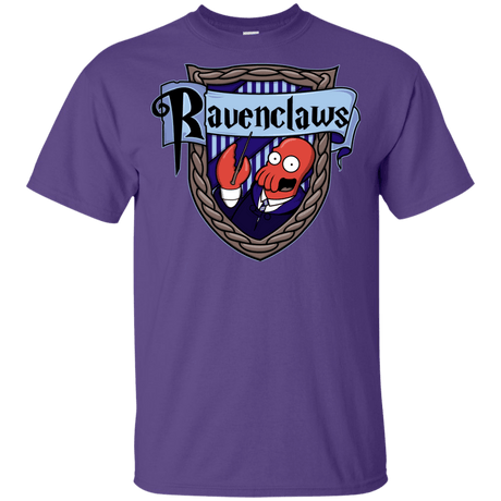 T-Shirts Purple / YXS Ravenclaws Youth T-Shirt