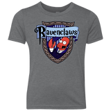 T-Shirts Premium Heather / YXS Ravenclaws Youth Triblend T-Shirt