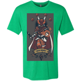 T-Shirts Envy / Small Red Mage Men's Triblend T-Shirt