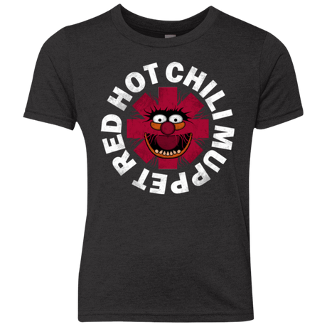 T-Shirts Vintage Black / YXS RHCM Youth Triblend T-Shirt