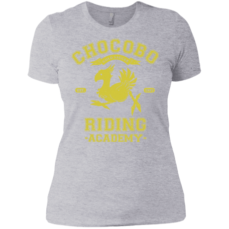 T-Shirts Heather Grey / X-Small Riding Academy Women's Premium T-Shirt