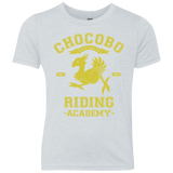 T-Shirts Heather White / YXS Riding Academy Youth Triblend T-Shirt