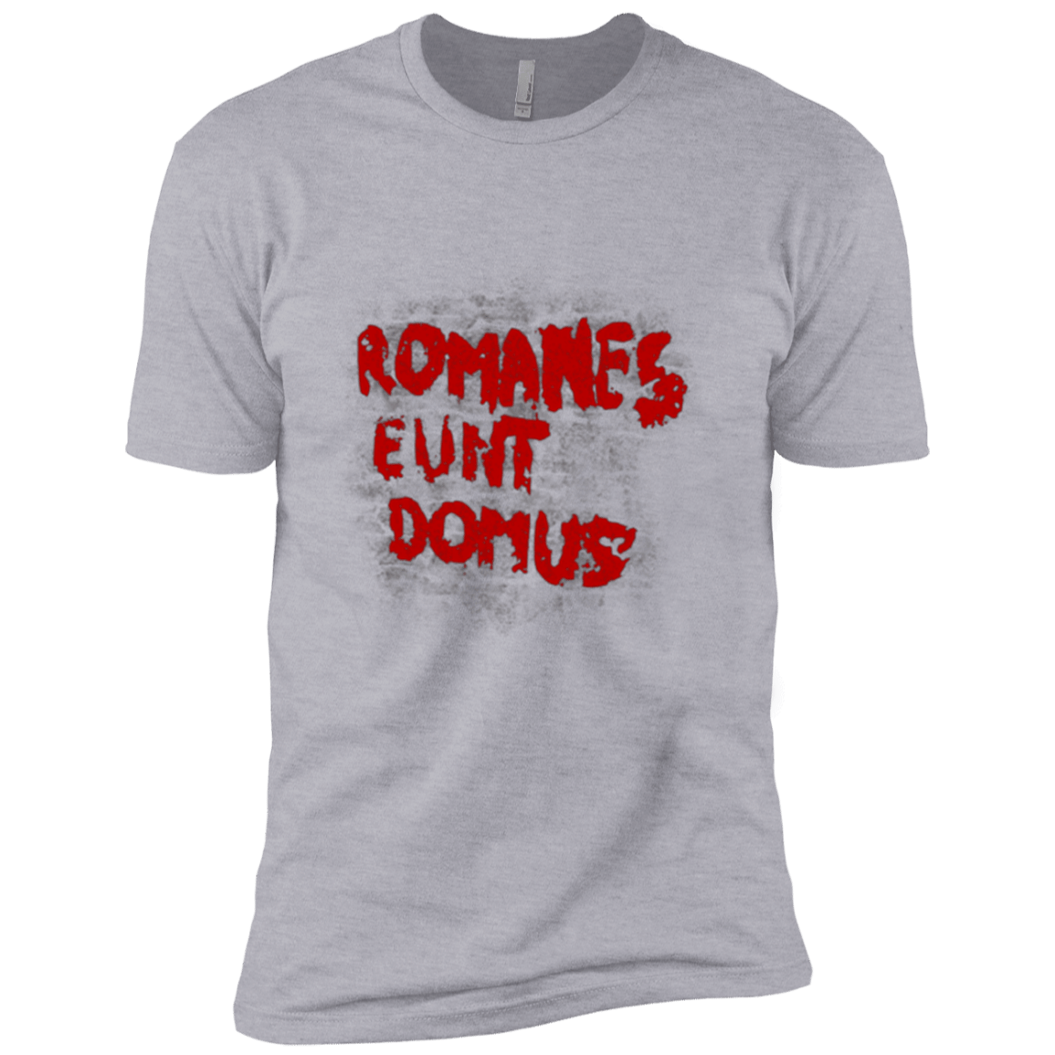 T-Shirts Heather Grey / YXS Romanes eunt Boys Premium T-Shirt