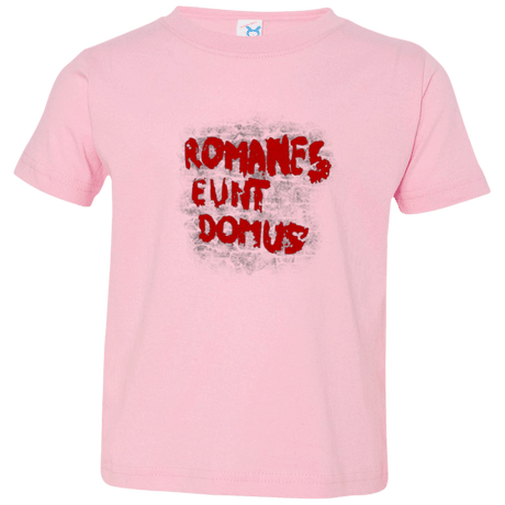 T-Shirts Pink / 2T Romanes eunt Toddler Premium T-Shirt