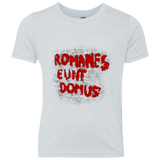 Romanes eunt Youth Triblend T-Shirt