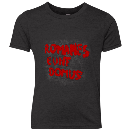 T-Shirts Vintage Black / YXS Romanes eunt Youth Triblend T-Shirt