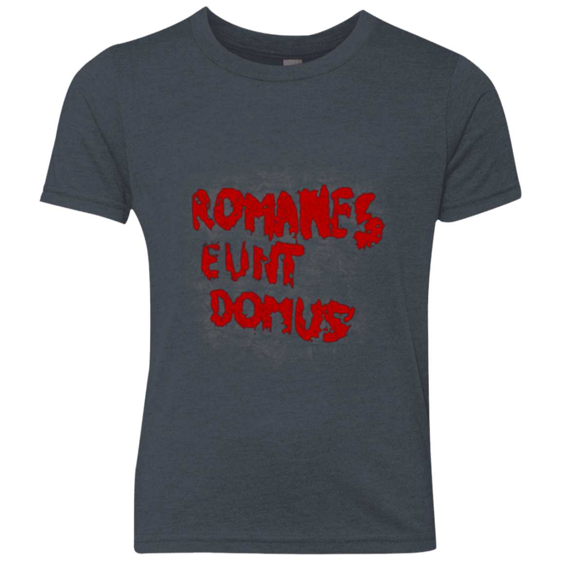 T-Shirts Vintage Navy / YXS Romanes eunt Youth Triblend T-Shirt