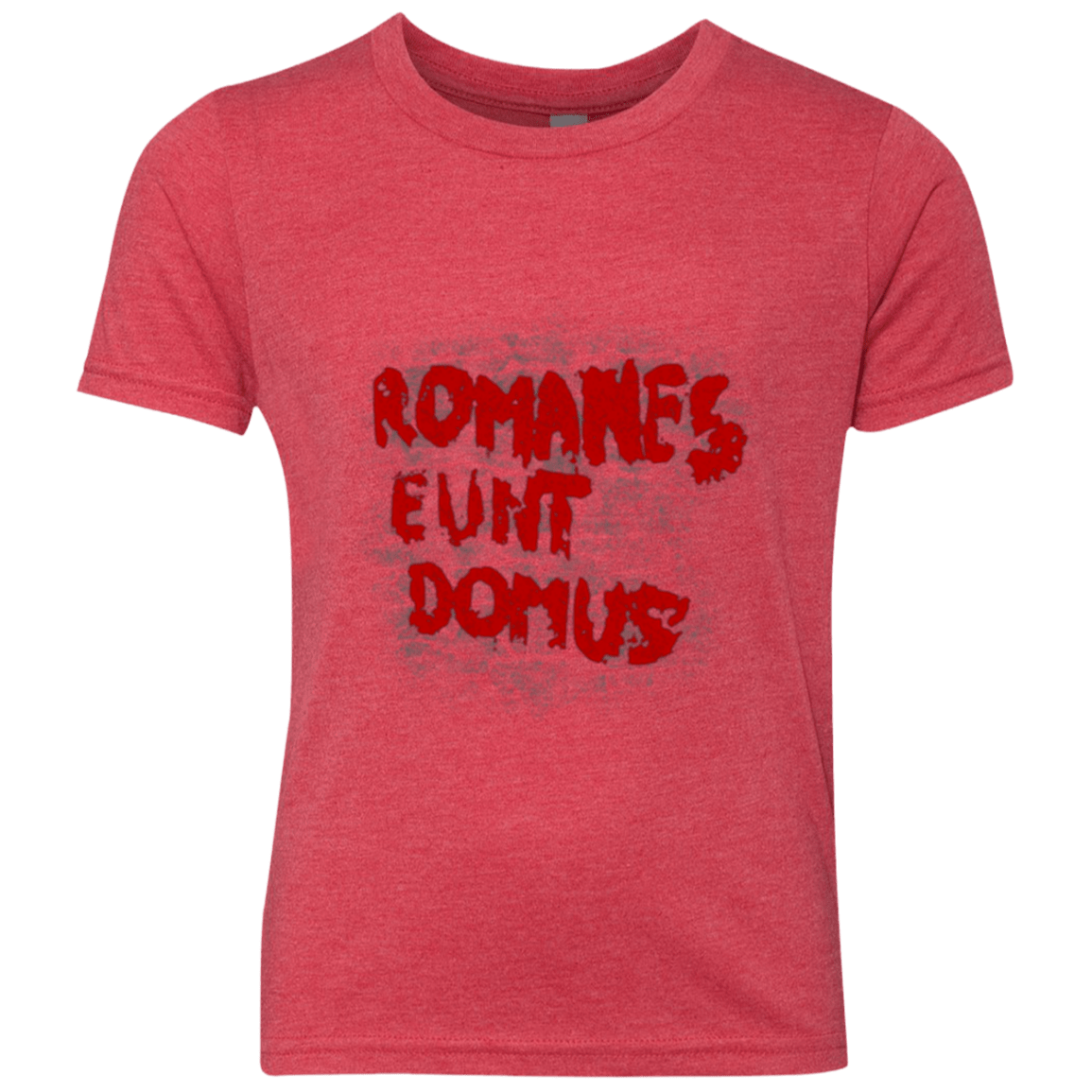 Romanes eunt Youth Triblend T-Shirt