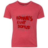 Romanes eunt Youth Triblend T-Shirt