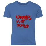 T-Shirts Vintage Royal / YXS Romanes eunt Youth Triblend T-Shirt