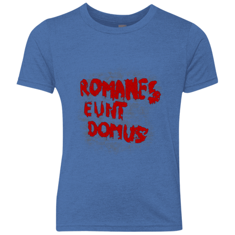 T-Shirts Vintage Royal / YXS Romanes eunt Youth Triblend T-Shirt
