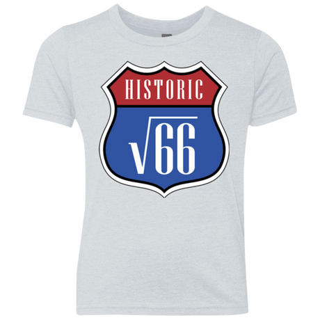 T-Shirts Heather White / YXS Route v66 Youth Triblend T-Shirt