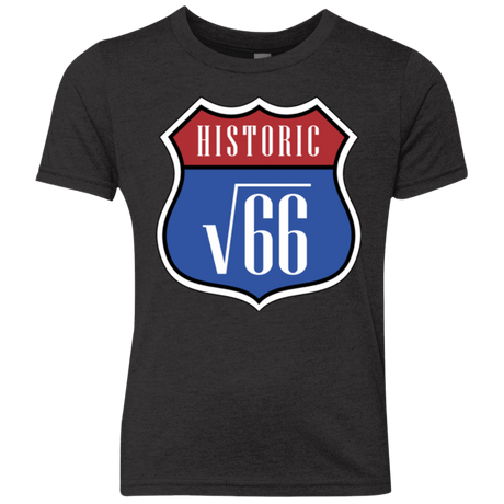 T-Shirts Vintage Black / YXS Route v66 Youth Triblend T-Shirt