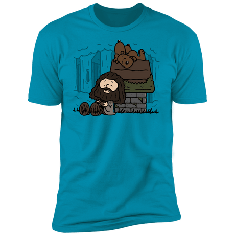 T-Shirts Turquoise / S Rubeus Brown Men's Premium T-Shirt