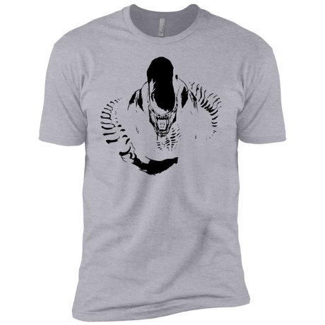 T-Shirts Heather Grey / YXS Run Boys Premium T-Shirt