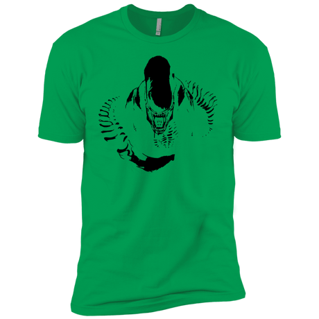 T-Shirts Kelly Green / YXS Run Boys Premium T-Shirt