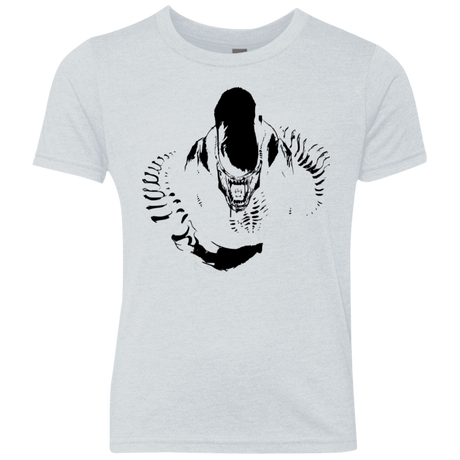 T-Shirts Heather White / YXS Run Youth Triblend T-Shirt